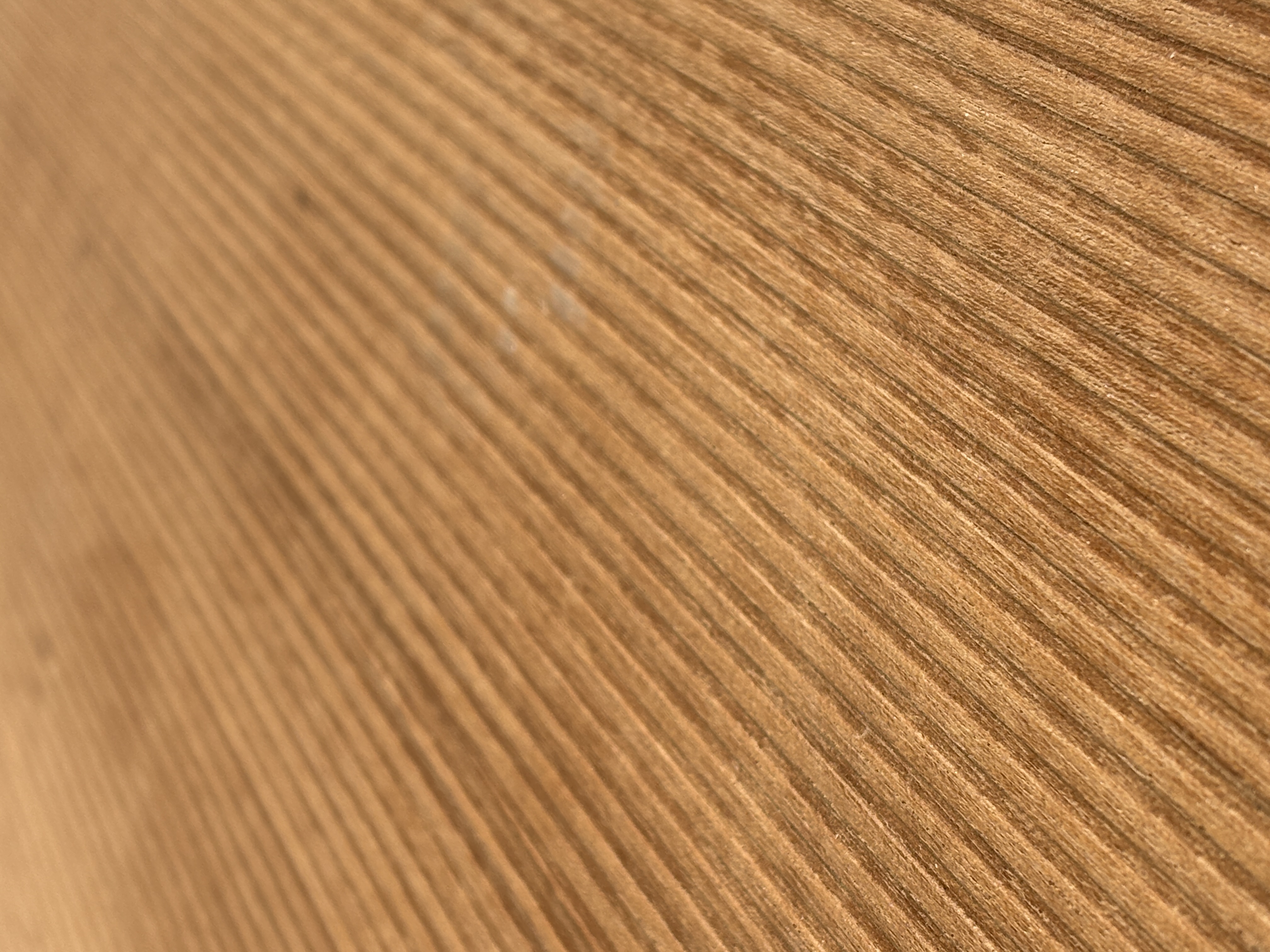 Elista Veneer